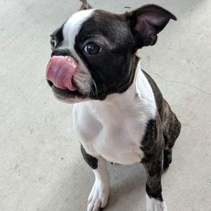 Meet your Posher, Tiffany